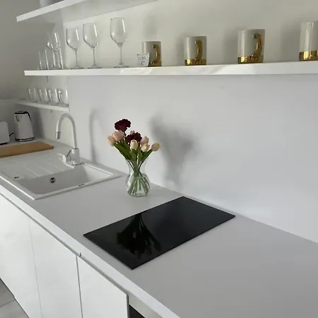 Elisabeth White With Parking Daire Budapeşte